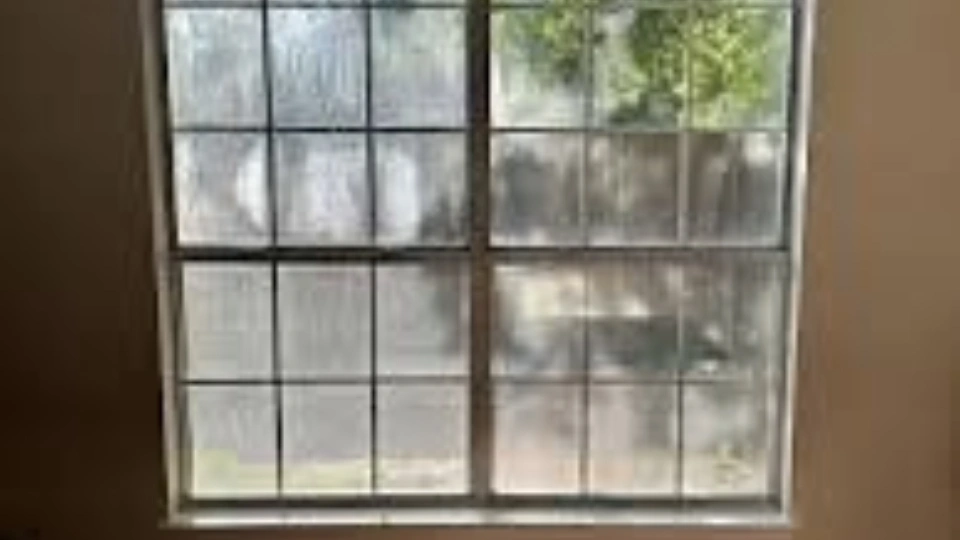 Don&rsquo;t Let Damaged Windows Drain Your Wallet and Energy: A Homeowner&rsquo;s Guide to Window Efficiency